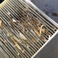 When Should You Replace Your Cabin Air Filter?